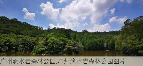 广州滴水岩森林公园,广州滴水岩森林公园图片-第2张图片-欣雨出游网