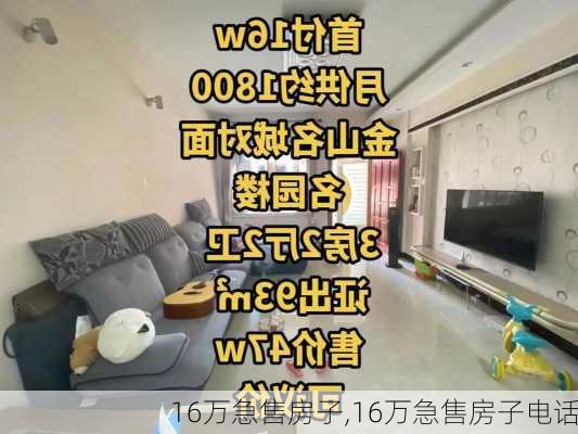 16万急售房子,16万急售房子电话-第2张图片-欣雨出游网