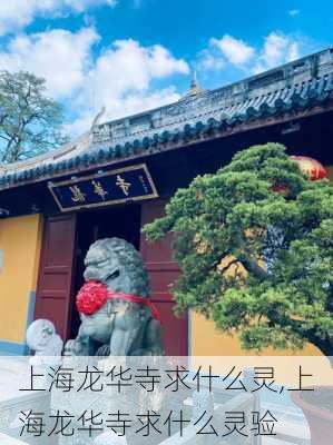 上海龙华寺求什么灵,上海龙华寺求什么灵验-第2张图片-欣雨出游网