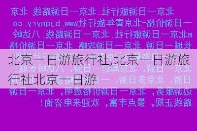 北京一日游旅行社,北京一日游旅行社北京一日游-第2张图片-欣雨出游网