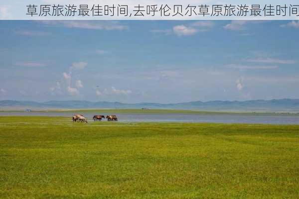 草原旅游最佳时间,去呼伦贝尔草原旅游最佳时间-第2张图片-欣雨出游网