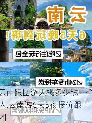 云南跟团游大概多少钱一个人,云南游6天5夜报价跟团-第2张图片-欣雨出游网