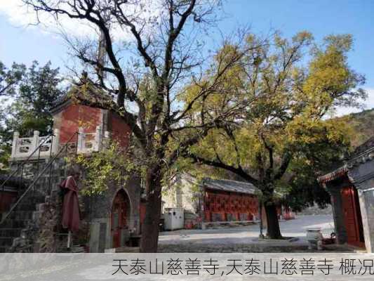 天泰山慈善寺,天泰山慈善寺 概况