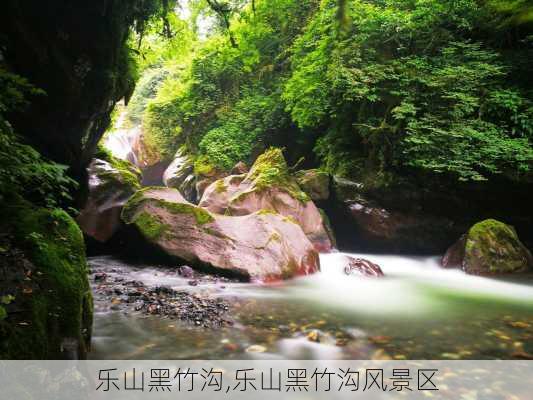 乐山黑竹沟,乐山黑竹沟风景区