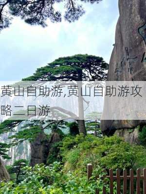 黄山自助游,黄山自助游攻略二日游-第3张图片-欣雨出游网