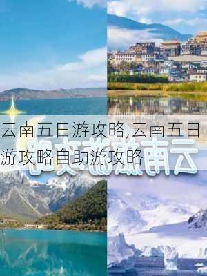 云南五日游攻略,云南五日游攻略自助游攻略-第3张图片-欣雨出游网