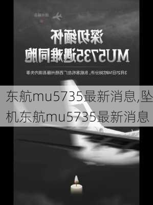 东航mu5735最新消息,坠机东航mu5735最新消息