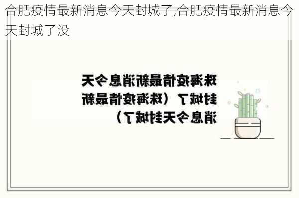 合肥疫情最新消息今天封城了,合肥疫情最新消息今天封城了没-第3张图片-欣雨出游网