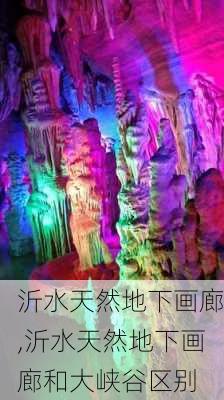 沂水天然地下画廊,沂水天然地下画廊和大峡谷区别-第2张图片-欣雨出游网