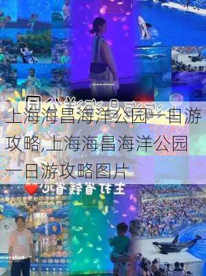 上海海昌海洋公园一日游攻略,上海海昌海洋公园一日游攻略图片-第2张图片-欣雨出游网