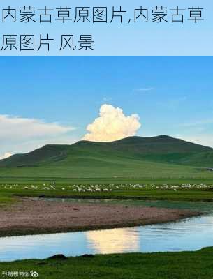 内蒙古草原图片,内蒙古草原图片 风景-第3张图片-欣雨出游网