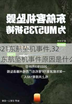 321东航坠机事件,321东航坠机事件原因是什么-第2张图片-欣雨出游网