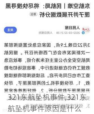 321东航坠机事件,321东航坠机事件原因是什么-第3张图片-欣雨出游网