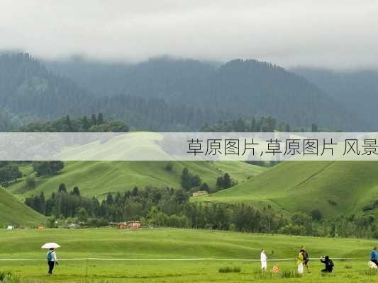 草原图片,草原图片 风景