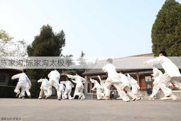 陈家沟,陈家沟太极拳-第2张图片-欣雨出游网