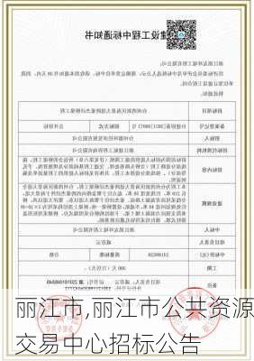 丽江市,丽江市公共资源交易中心招标公告-第2张图片-欣雨出游网