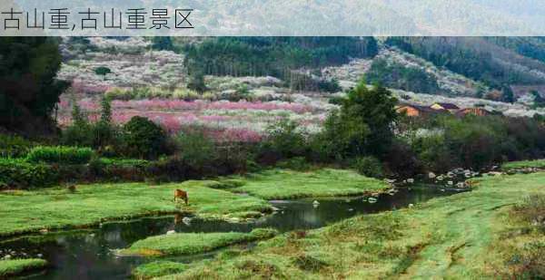 古山重,古山重景区