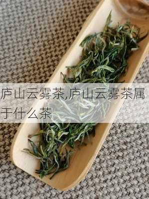 庐山云雾茶,庐山云雾茶属于什么茶