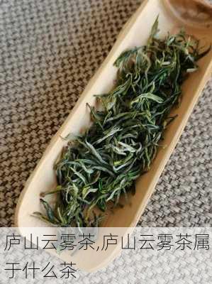 庐山云雾茶,庐山云雾茶属于什么茶-第2张图片-欣雨出游网