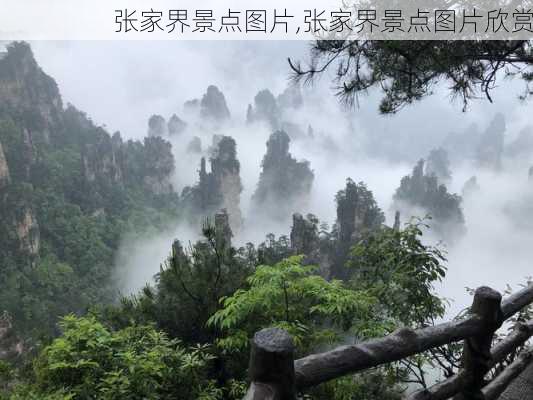 张家界景点图片,张家界景点图片欣赏