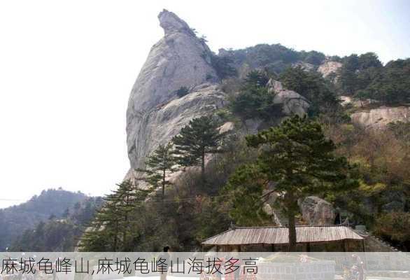 麻城龟峰山,麻城龟峰山海拔多高-第2张图片-欣雨出游网