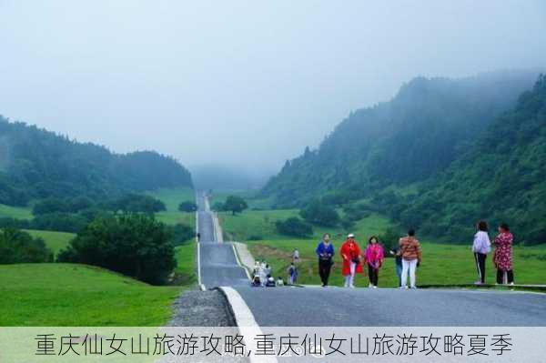 重庆仙女山旅游攻略,重庆仙女山旅游攻略夏季