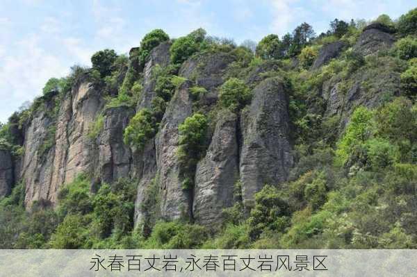 永春百丈岩,永春百丈岩风景区-第3张图片-欣雨出游网