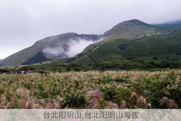 台北阳明山,台北阳明山海拔-第3张图片-欣雨出游网