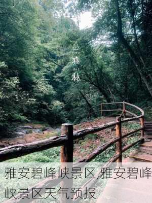 雅安碧峰峡景区,雅安碧峰峡景区天气预报-第3张图片-欣雨出游网