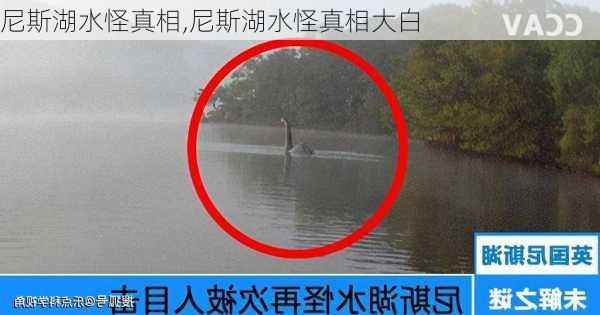 尼斯湖水怪真相,尼斯湖水怪真相大白-第3张图片-欣雨出游网