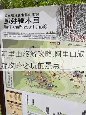 阿里山旅游攻略,阿里山旅游攻略必玩的景点-第1张图片-欣雨出游网