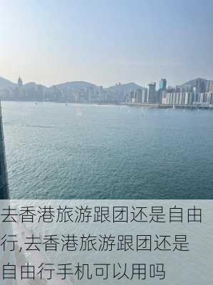 去香港旅游跟团还是自由行,去香港旅游跟团还是自由行手机可以用吗-第3张图片-欣雨出游网