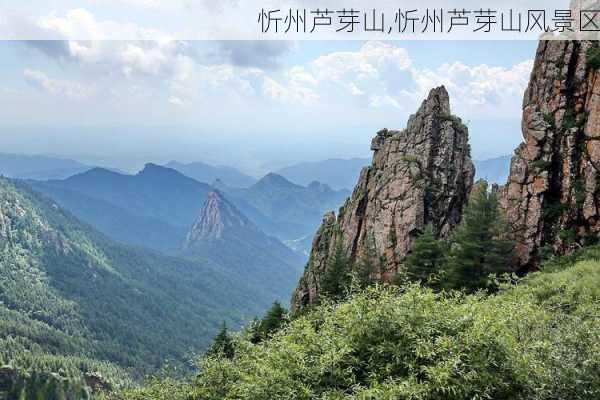 忻州芦芽山,忻州芦芽山风景区