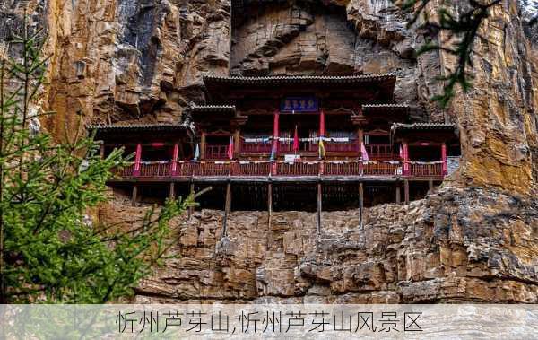 忻州芦芽山,忻州芦芽山风景区-第3张图片-欣雨出游网